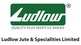 CARE updates ratings of Ludlow Jute & Specialities Limited